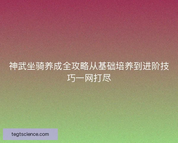 神武坐骑养成全攻略从基础培养到进阶技巧一网打尽