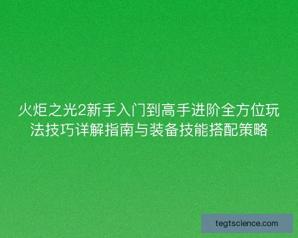 火炬之光2新手入门到高手进阶全方位玩法技巧详解指南与装备技能搭配策略